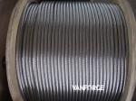 7x7 Cold drawn Stainless Steel Wire Rope High Tensile Corrosion resisitant