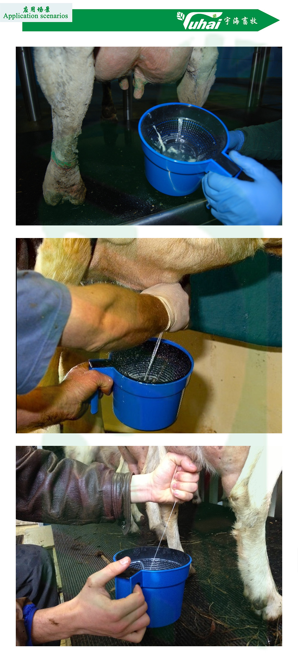 Ambic Dairy Strip Cup For Mastitis Test Detection Cup For Cow