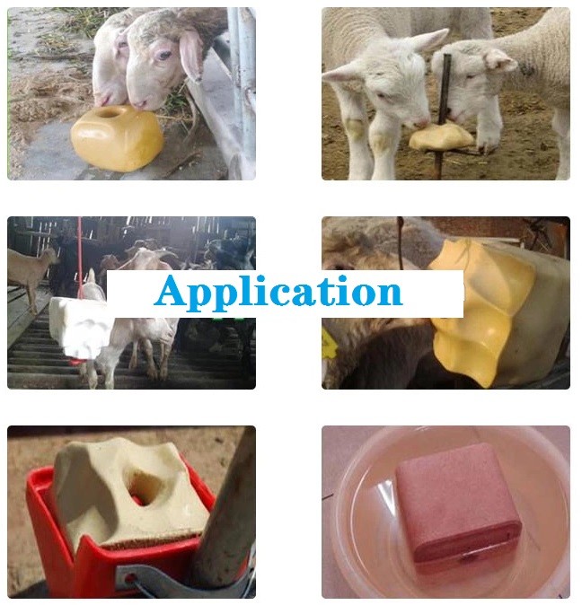 200 Ton Salt Gems Press Machine , Hydraulic Tablet Press Machine / Salt Block Press Machine for Animal Salt Lick