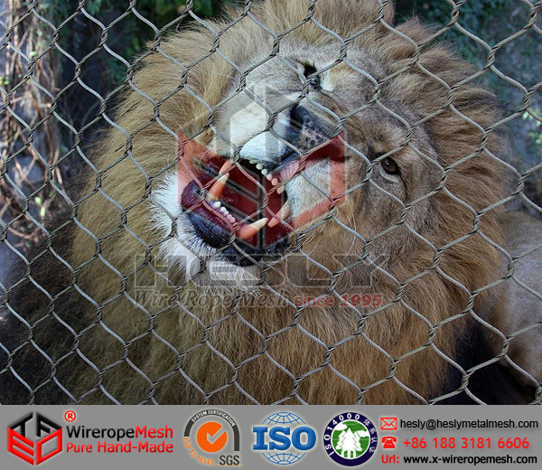 lion enclosure
