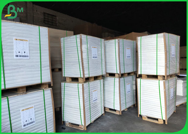336.3*301.1mm Single Coated PE Lunch Box Paper With FDA Certification