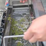 85KG Small fruit and vegetable processing equipment stainless steel single