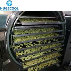 China Automatic Control Vacuum Freeze Drying Machine , Freeze Dried Food Dryer wholesale