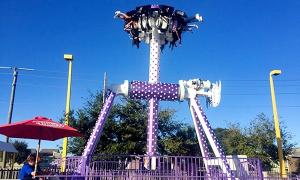 China Crazy Amusement 12 Seat 360 Dance Party Degree Pendulum Rides wholesale