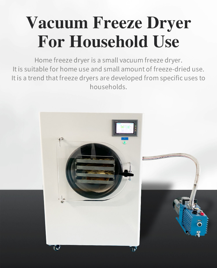 Mini Home Vacuum Freeze Dryer Fruit Vegetable Lyophilizer 15pa