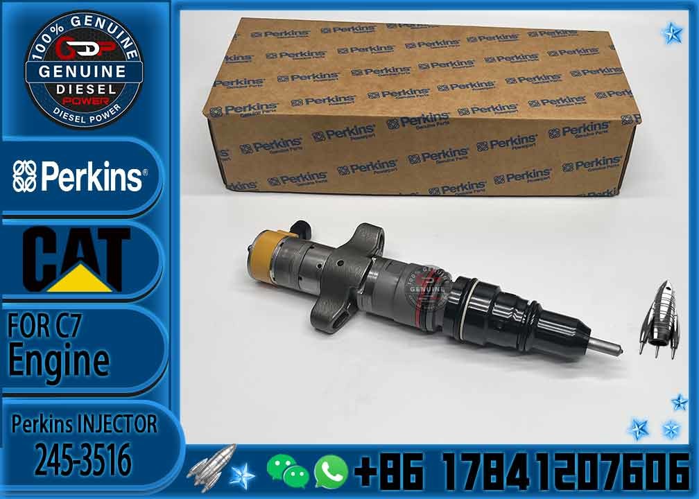 Diesel Engine Parts Common Rail Fuel Injector 243-4503 for CAT C7 Diesel Engine CNDIP Factory price