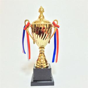 China Metal Trophies Triathlon Accessories wholesale