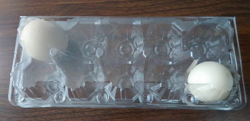 Clear plastic tray for eggs S size M size L size