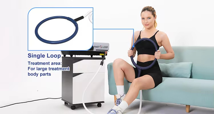 Professional Pemf Therapy Magneto Equines Pmst Loop Portable Magnetotherapy Pemf Therapy Machine For Horses