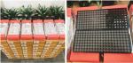 LFBGA Electronic Components IC SAK-TC1791F-512F240EP AB TC1791F512F240EP