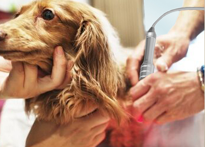 980nm Veterinary Laser Therapy Machine Four Wavelength 650nm