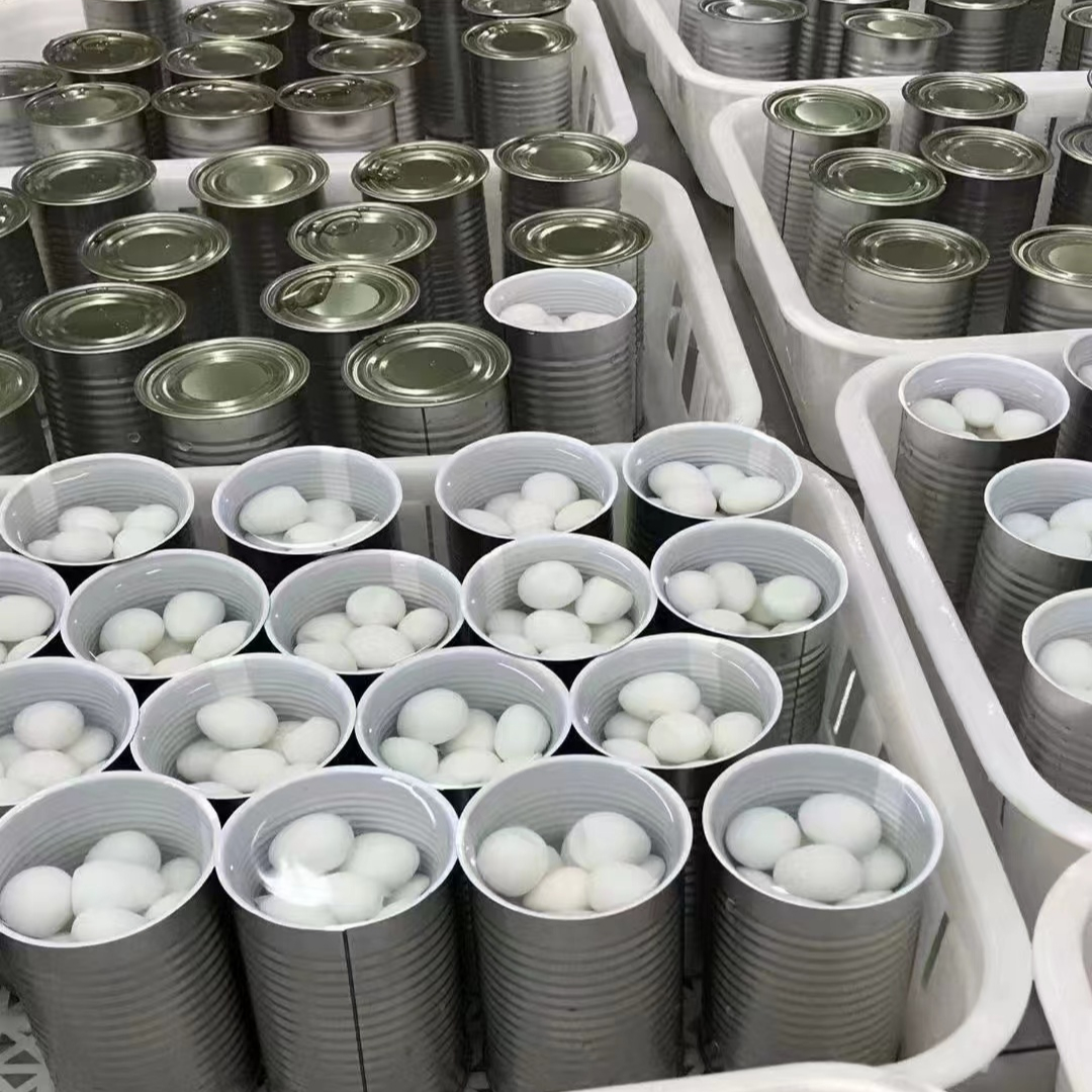425g Cooked Canned Quail Eggs for Customer Requirements from SHANDONG