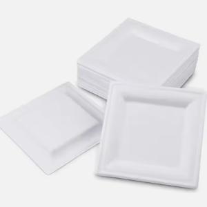 China Microwavable 10 Inch Square Paper Plates Disposable Bagasse Plates Compostable wholesale