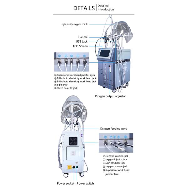 Multifunctional 10 in 1 facial care skin Moisturizing hydra oxygen mask jet peel skin facial care machine
