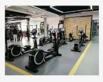 Commercial Elliptical Machine Standing Fitness Elliptical Trainer Machine