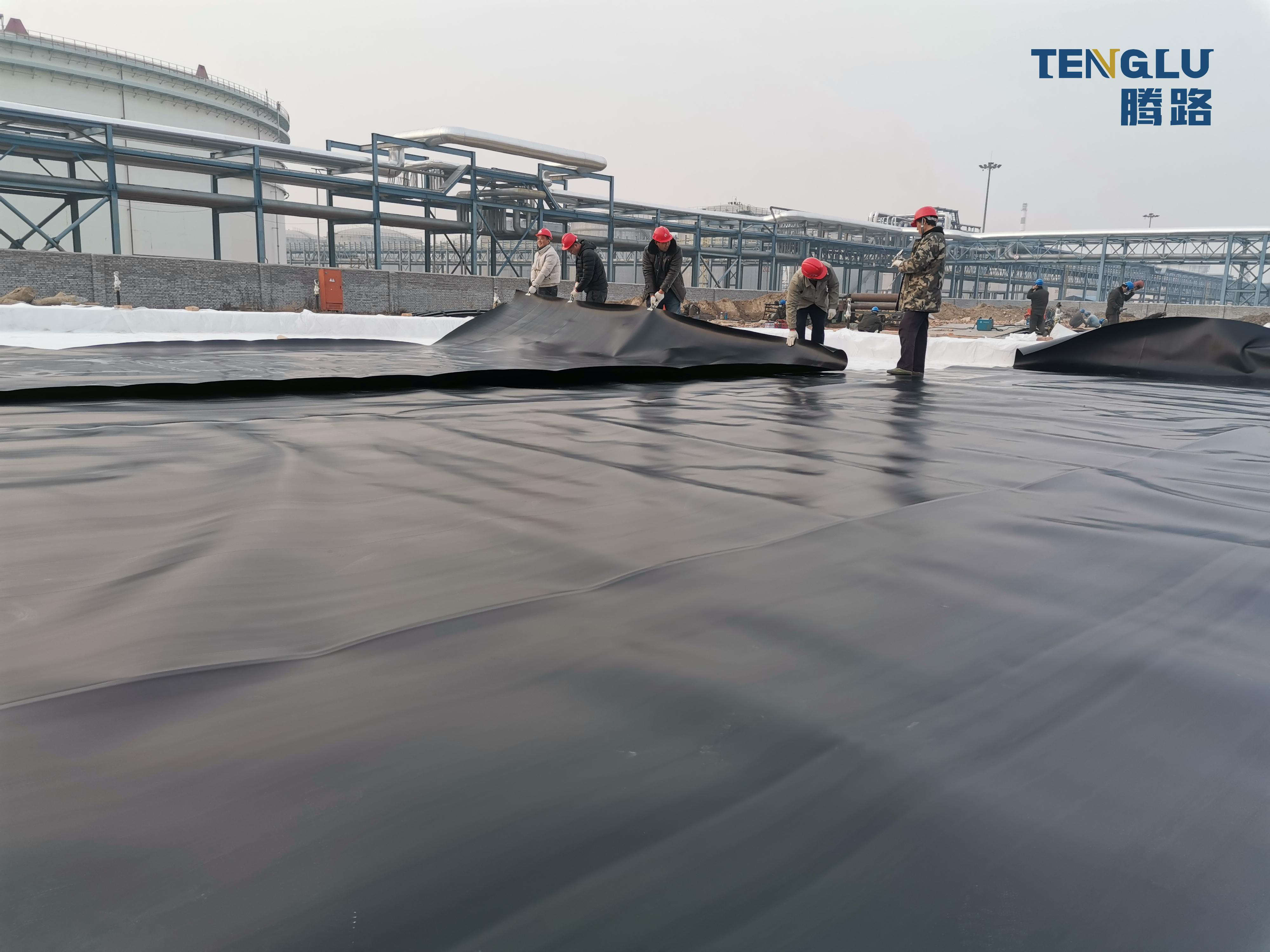 1m-10m Width HDPE Geomembrane for Fish Shrimp Tank 0.3-3mm ASTM Onsite Training Offered