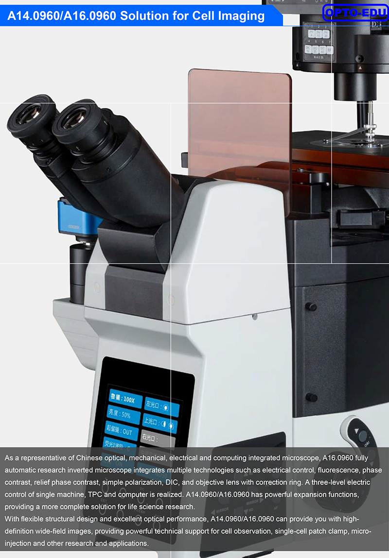 Opto Edu A16.0960 Research Level Inverted Fluorescent Microscope Motorized Nosepiece Condenser