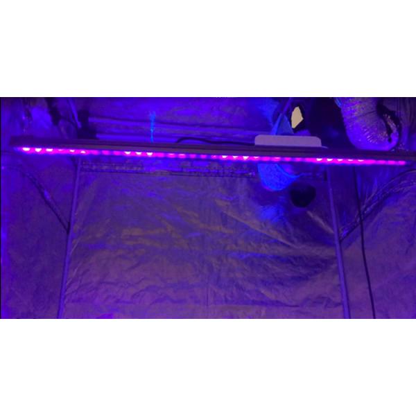 12% photosynthesis UVBar120 395nm 80W UV LED Grow Bar