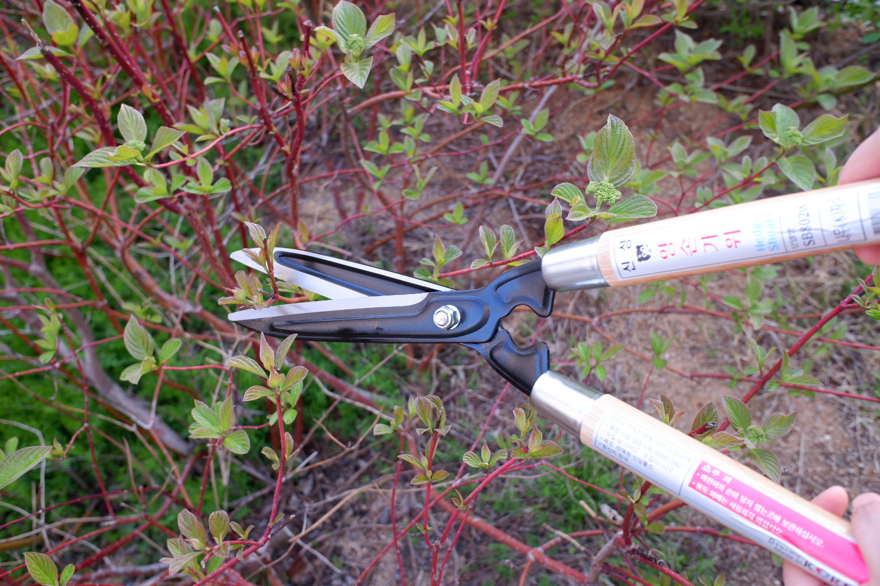 SINSEUNG SB802W Garden Hedge Shears Hedge Clippers Shears SET with Super Pruning Shears
