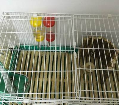 factory low price Manufacture Hot Dipped 1/4inch 1/2inch 1x1inch mining galvanized iron wire welded wire mesh