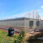 OEM Hydroponic Tunnel Plastic Greenhouse Galvanizing Steel Farm Supply
