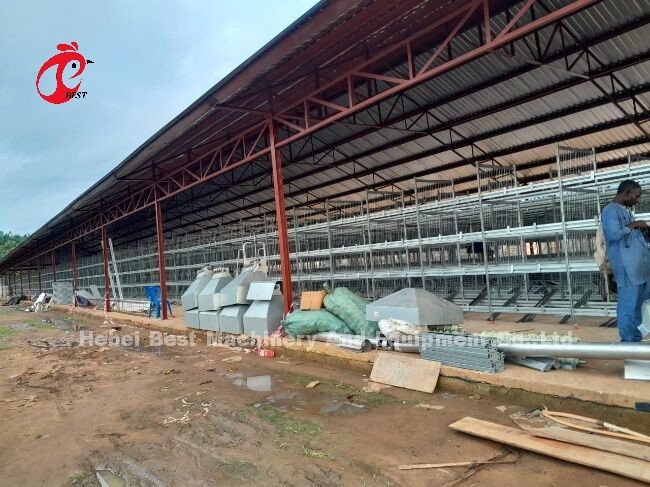 Poultry Cage System H/A Type With Automatic Drinkers Feeders Installation For Tanzania Uganda Ghana Kenya Sandy