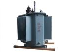 Outdoor Oil Immersed Transformer 6.3kv Output Voltage 50 / 60Hz Frequency