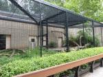 aviary mesh for Medium Pet Birds