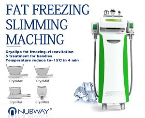 China 5 In 1 Cryolipolysis Weight Loss Machine/Lipo Laser Fat Freezing Machine/Cavitation RF wholesale