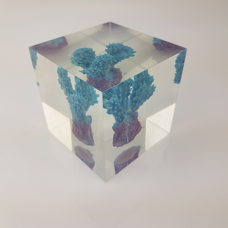 Transparent resin cube brick paperweight with Coral inside