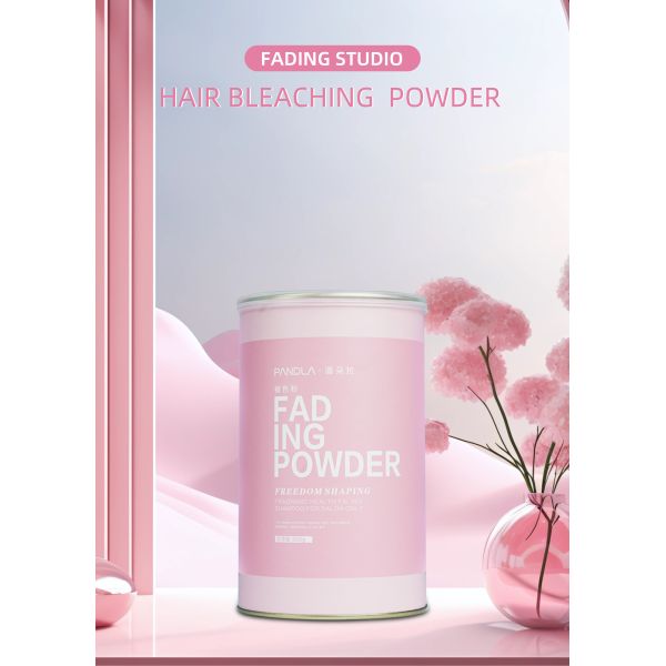 Professional Salon Hair Bleach Powder 500g Herbal Formula Permanent Hair Color