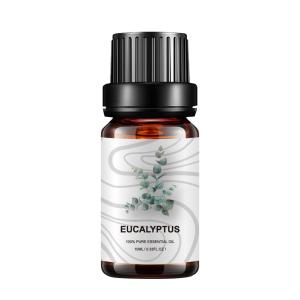 China 5ml Home Fragrance Essential Oils Plant Eucalyptus COA OEM For Medicine wholesale
