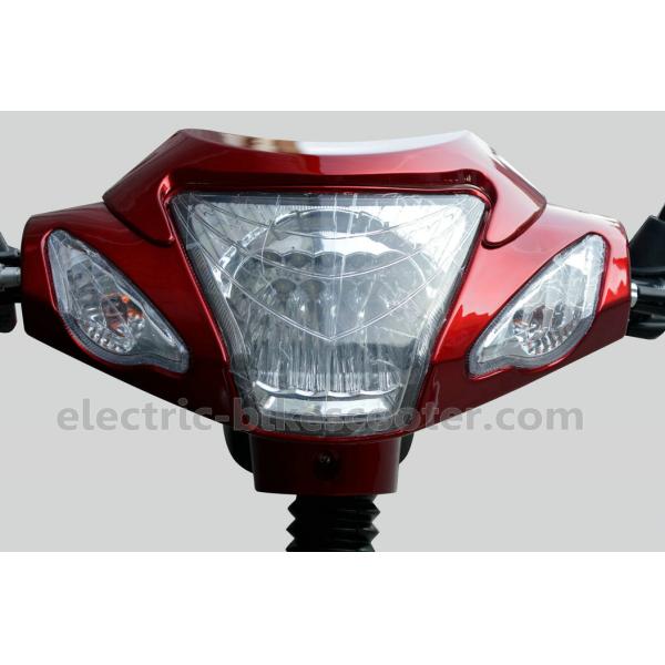 36V 350W Pedal Assist Electric Bike 24 Inch Wheel V Brake Rear Brushless Motor