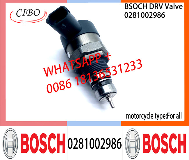 BOSCH DRV Valve 0281002986 Control Valve 0281002986 for all