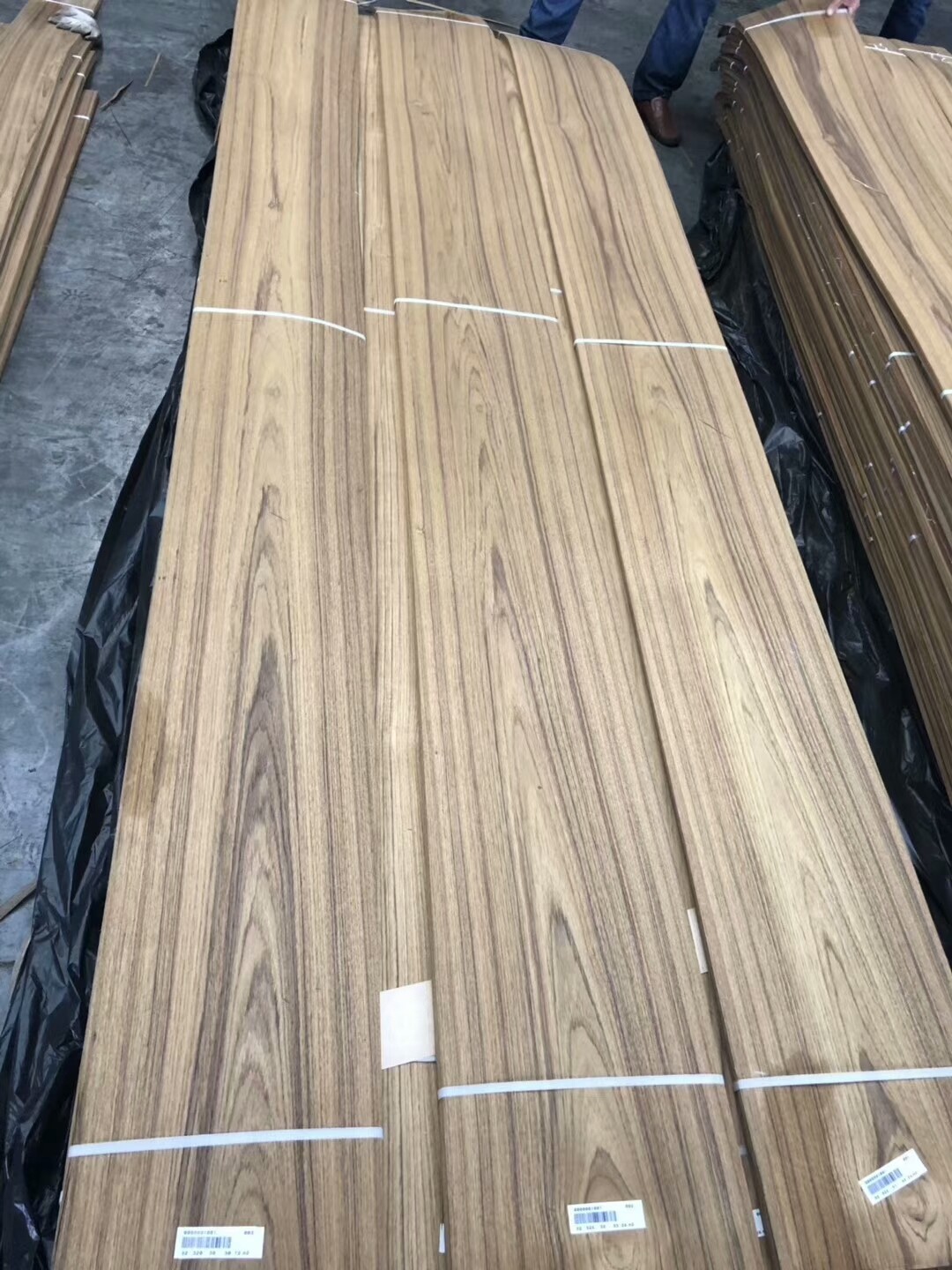 Teak Veneer Crown Cut Burma Teak Natural Veneers Myanmar Teak Sliced Veneer for Interior Furniture Doors & Plywood