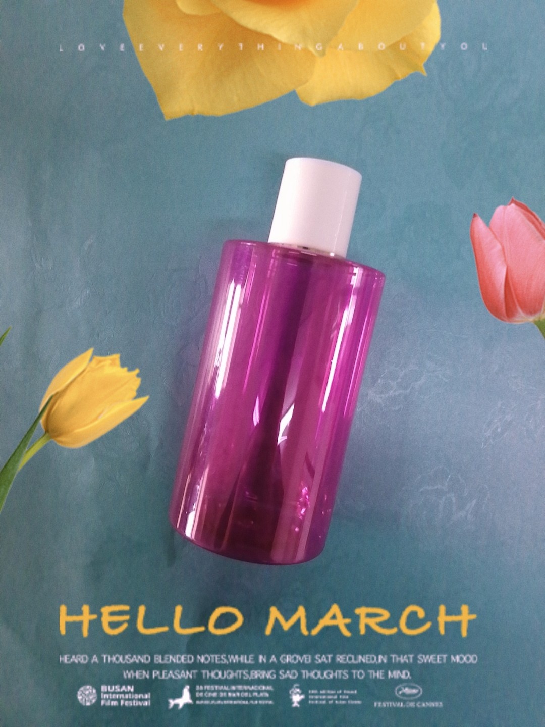 Body Lotion Empty Plastic Bottles 250ml , Clear Plastic Bottles With Screw Caps