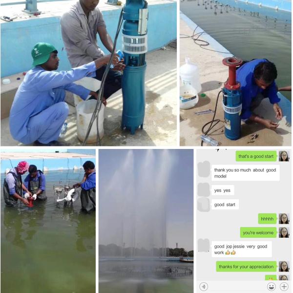 80m3/H 40m Fountain Submersible Pump Multistage Deep Well Music Landscape