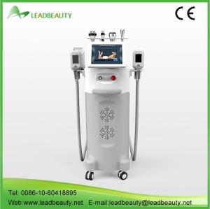 China 5 handle cryolipolysis slimming machine wholesale