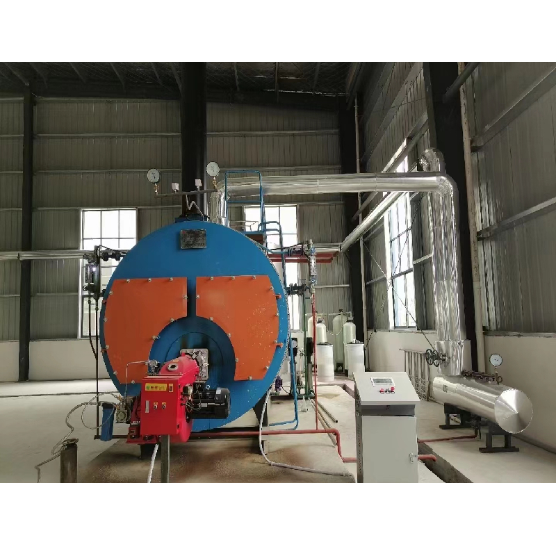 Customized Steam Boiler For Duck Slaughtering Machine Scalding Machine For Heating