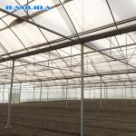 Galvanized Steel Pipe Agricultural Plastic Film Multi Span Tunnel Greenhouse For