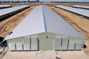 China Prefabricated Metal Steel Poultry House Industry Steel Structure wholesale