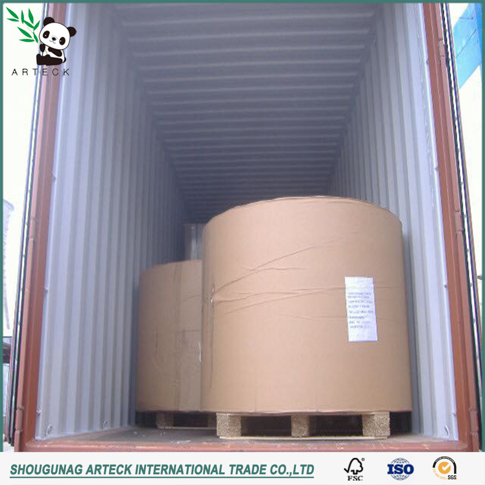 Coated 250-350gsm C2S/High Bulk Art Card for Printing and Packing