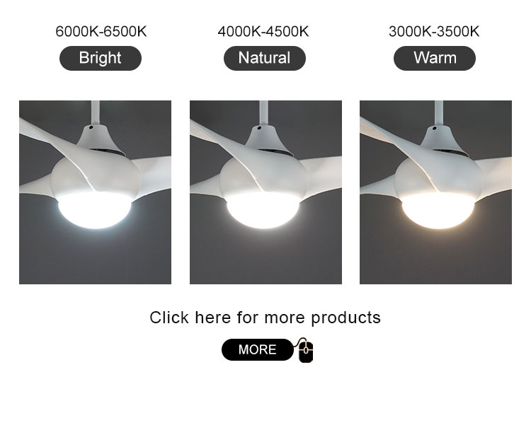 Modern Design Style Energy-Saving Remote Control LED Ceiling Fan with Metal Lamp Body