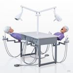 School Ultraportable Dental Phantom Head , Removable Dental Simulation Unit
