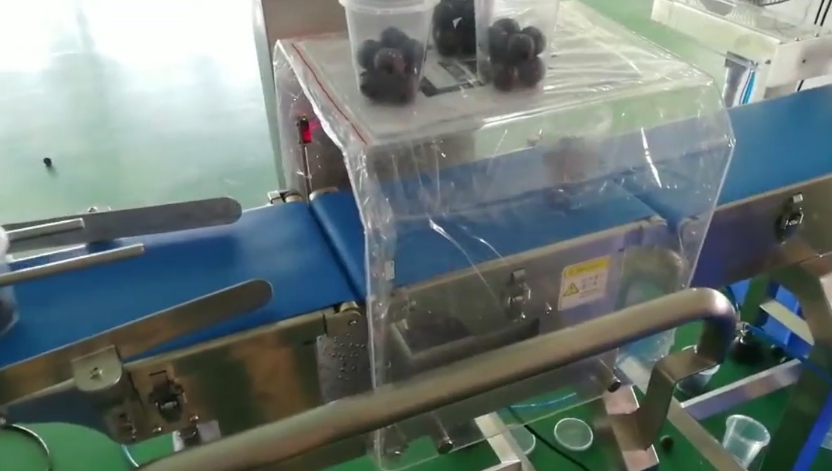 SS316 Automatic Filling Machine Chocolate Ball Weighing And Reloading Cup Code Detection System