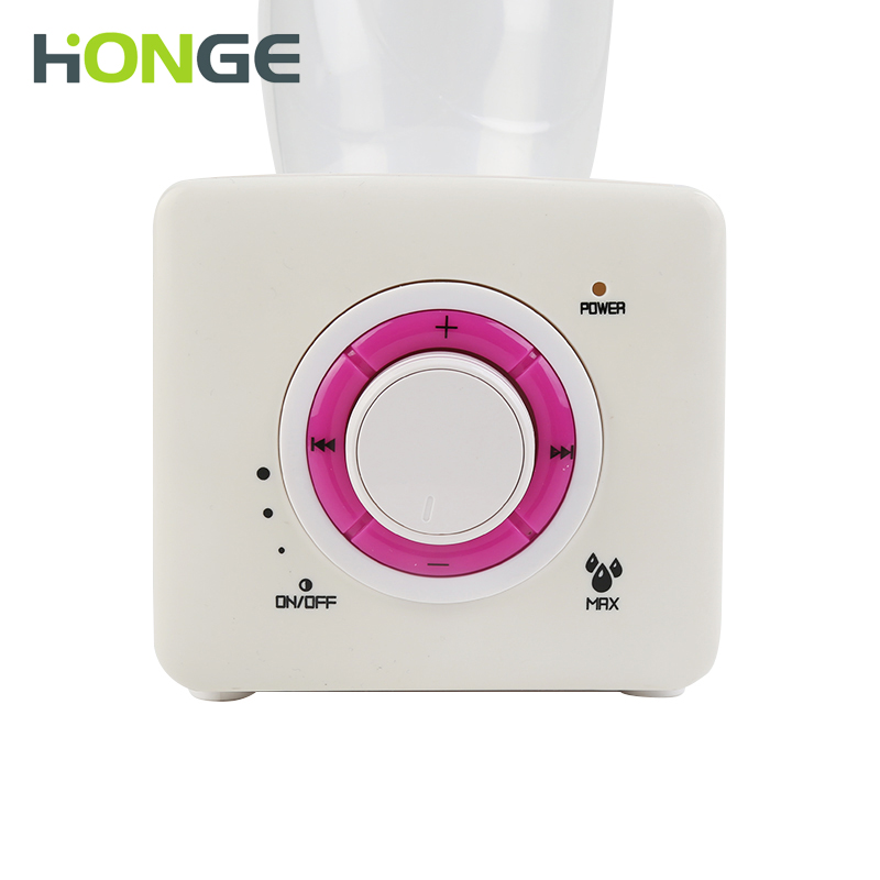 Mist Capacity Adjustable Ultrasonic Water Humidifier With Bottle Tank