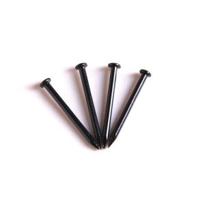 China Versatile 20mm Black Concrete Nails Anti Rust Masonry Nails Type wholesale