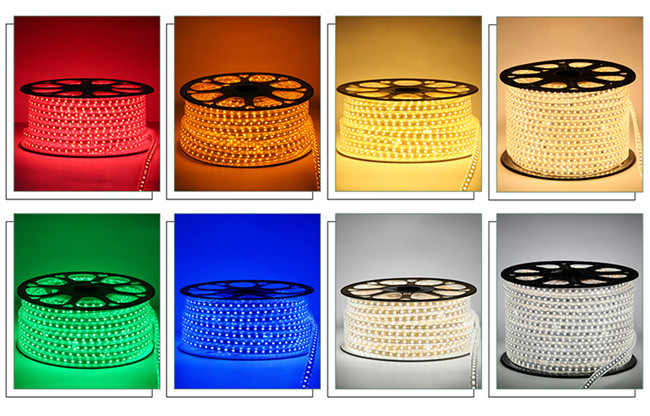 24V Underwater IP68 LED Flexible Strip Lights For Outdoor Lighting SMD2835
