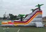 PVC Tarpaulin Puncture Proof Inflatable Water Slides With Pool