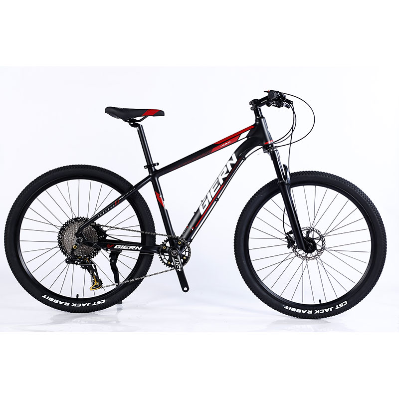 Custom Carbon Fiber Frame Mountain Bike Bicycle with Ltwoo A12 12s Gear 26/27.5/29 inch